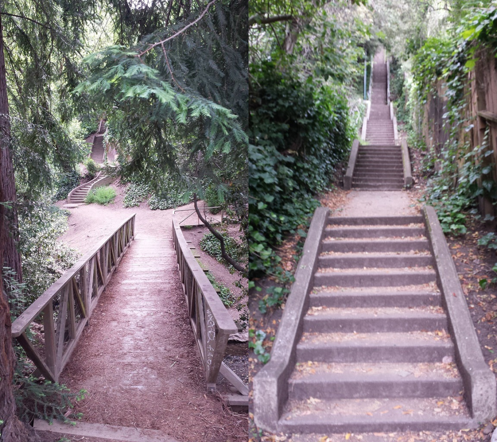 Tamalpais stairway - 184 steps